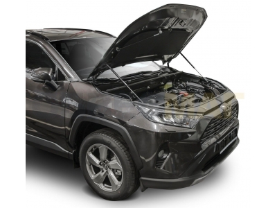 Амортизаторы капота Автоупор, 2 шт. для Toyota RAV4 2019-2021